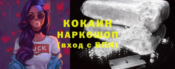 мет Бородино