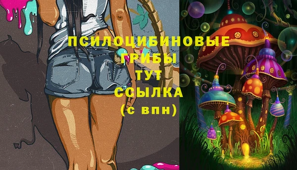 мет Бородино